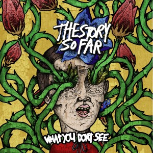 The Story So Far – What You Don’t See