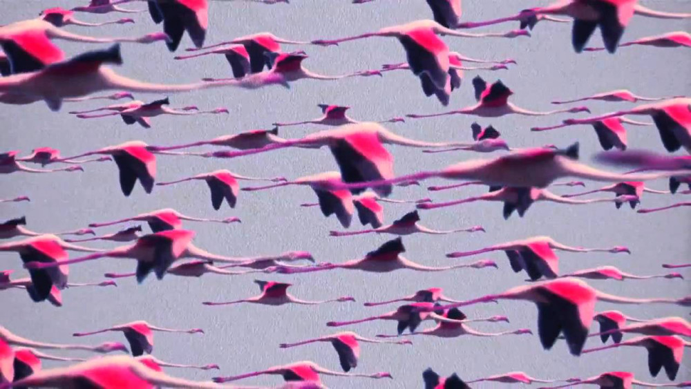 Megérkezett a Deftones új dala a Gore-ról - debütál a Doomed User!