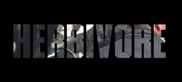 Magyar dokumentumfilm a vegán életmód és a hardcore/punk kapcsolatáról