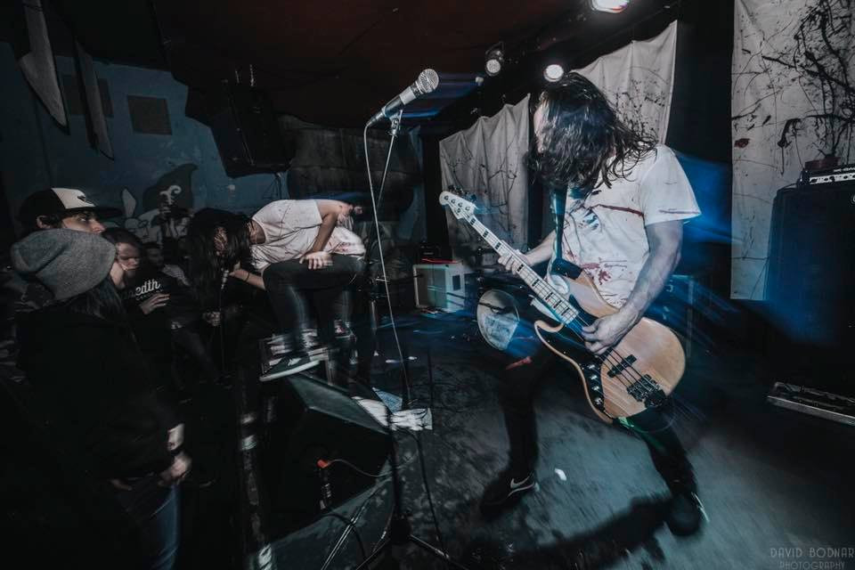 Határozatlan időre leáll a Dryvia