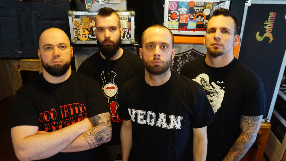 Jótékonykodik az év végi hajrában a Don Gatto