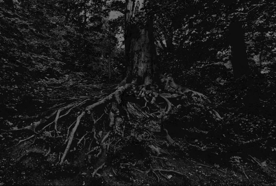 Megjelent a Hænesy monumentális debütáló nagylemeze